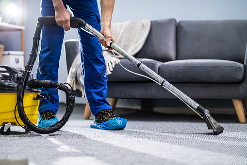 Prevention and Maintenance Tips for a Pest-Free Home