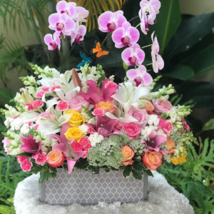 Arreglos de orquídeas cerca de mí | superflores.com