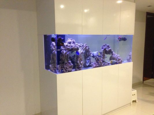 Marine aquarium