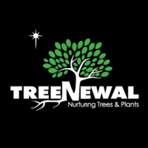 TreeNewal, Certified Arborist