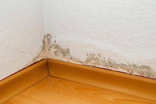 Why Professional Waterproofing Is Essential for Modern Homes