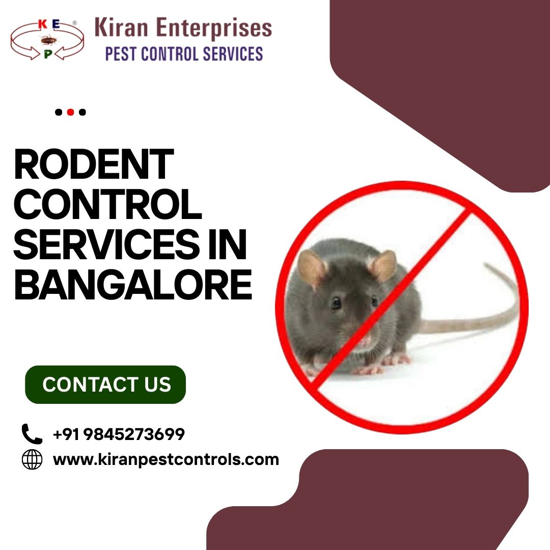Rodent Control Services in Bangalore  Rat Control Services