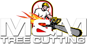 Discounted Tree Removal Company