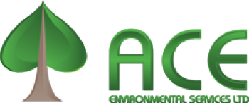Mastering Asbestos Removal: Safeguarding Greater Vancouver with Ace Environmental