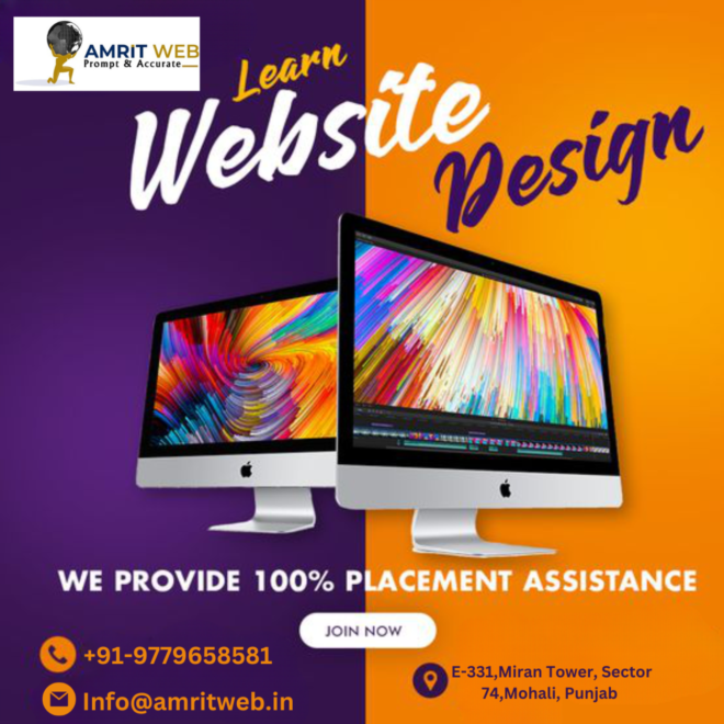 "Unlocking Success: Amrit Web's Expertise in Digital Marketing"