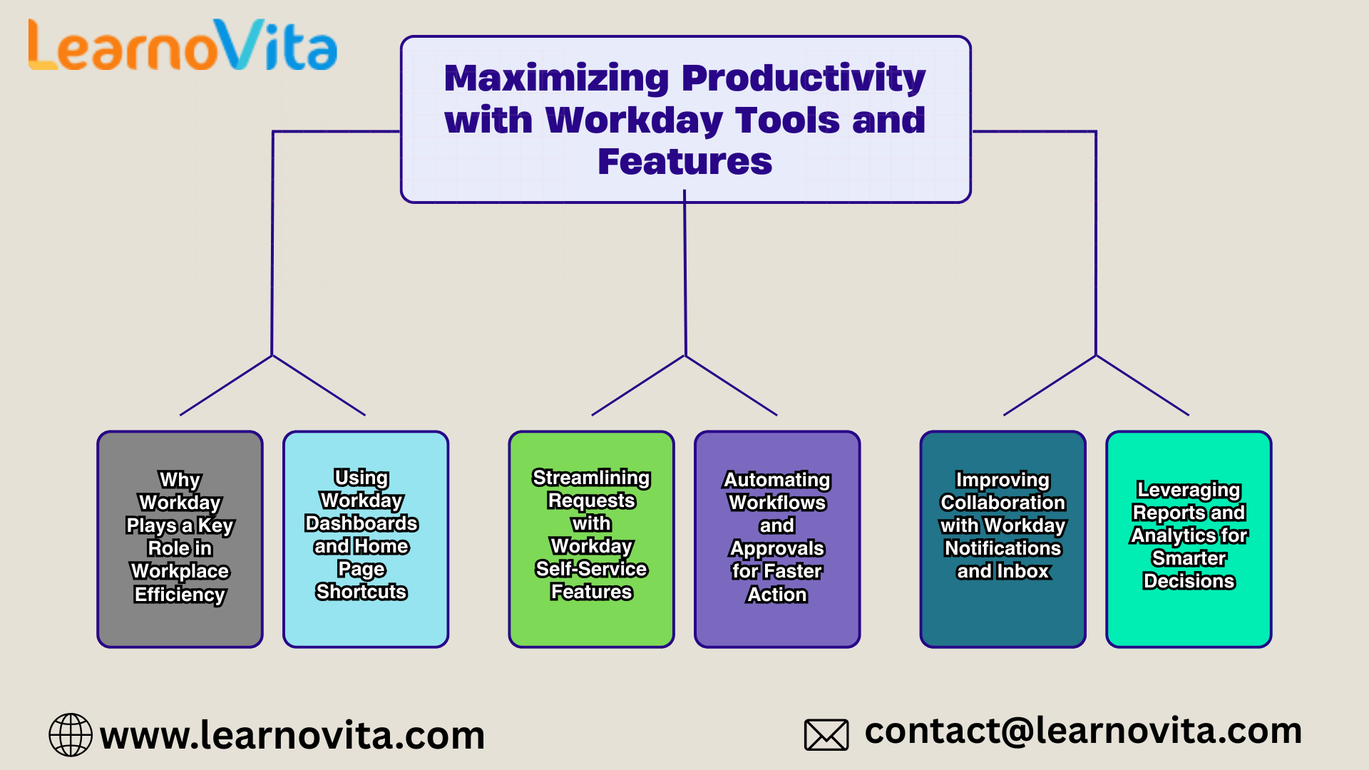 Maximizing Productivity with Workday Tools and Features