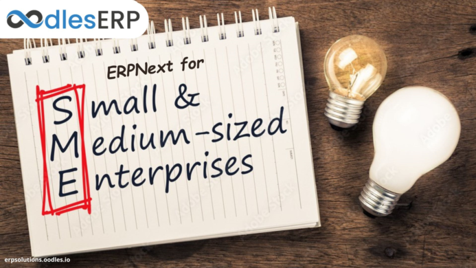 Why ERPNext is a Game Changer for SMEs