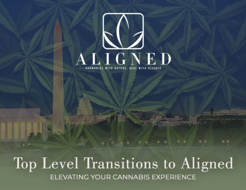 Top Level Transitions to Aligned: Elevating Your Cannabis Experience
