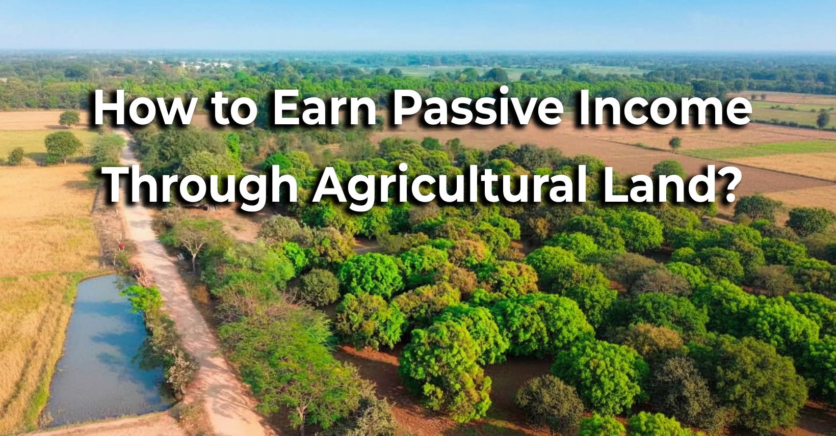Best Ways to Earn Income from Agricultural Land | Check Now