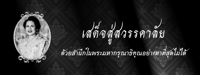 Veneerist Dental Clinic Krabi