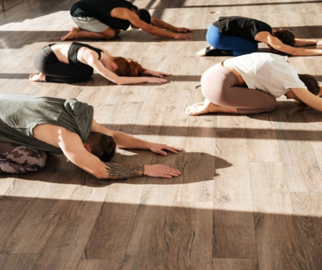 The Essential Guidelines for Selecting the Best Yoga Training in Sydney