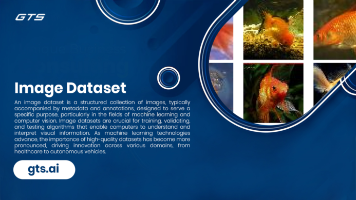 Understanding Image Datasets: The Backbone of Modern AI