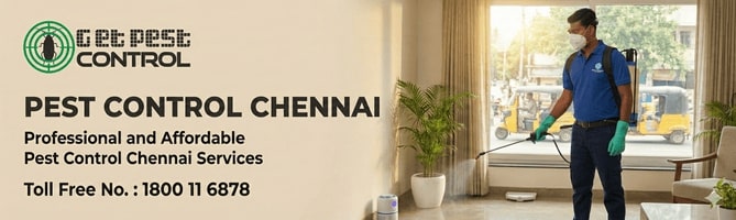 Professional Pest Control Chennai Services for Homes 