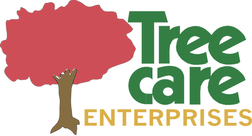 Tree Care Enterprises