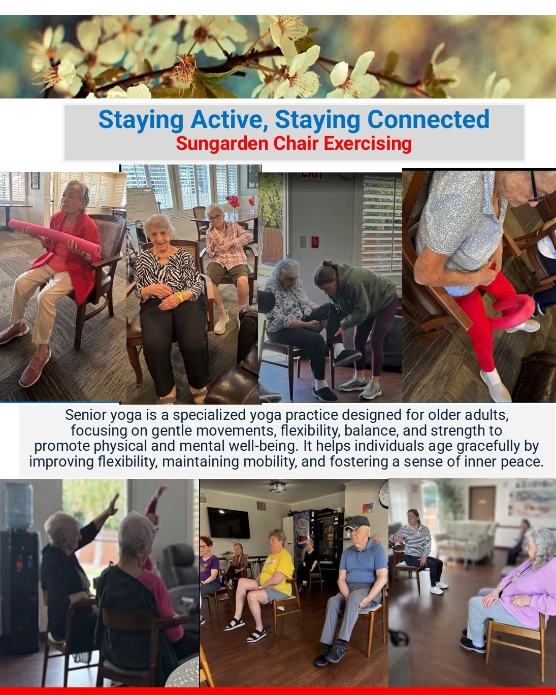 How Sungarden Terrace Keeps Seniors Active With Chair Yoga