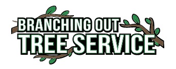 Tree Trimming & Pruning Nassau County