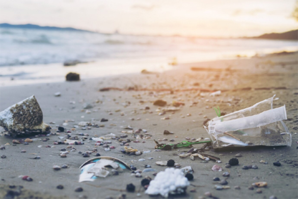 Contaminación por plásticos en el mar. Impacto medioambiental y cómo solucionarlo