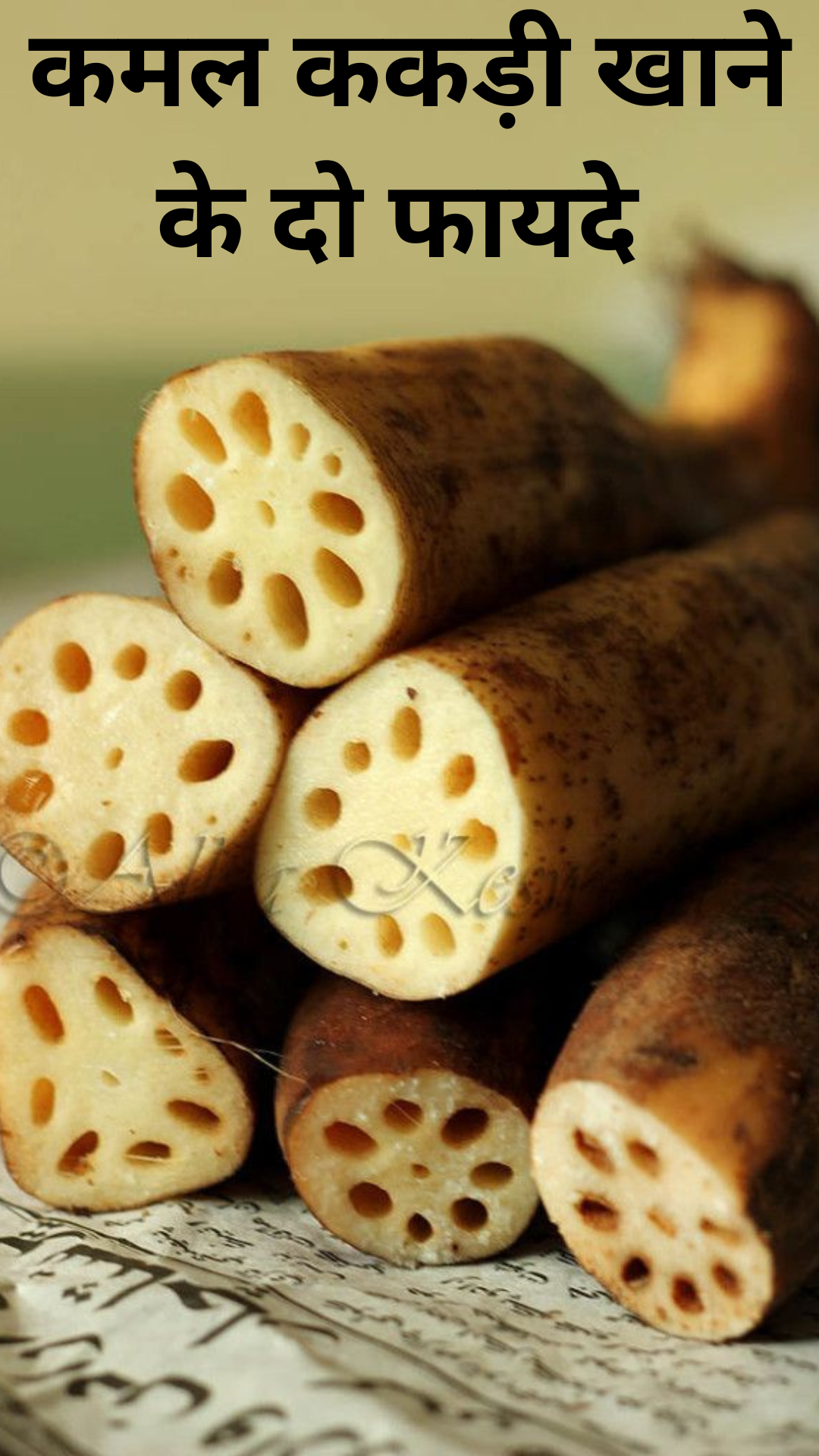 Two benefits of eating lotus cucumber