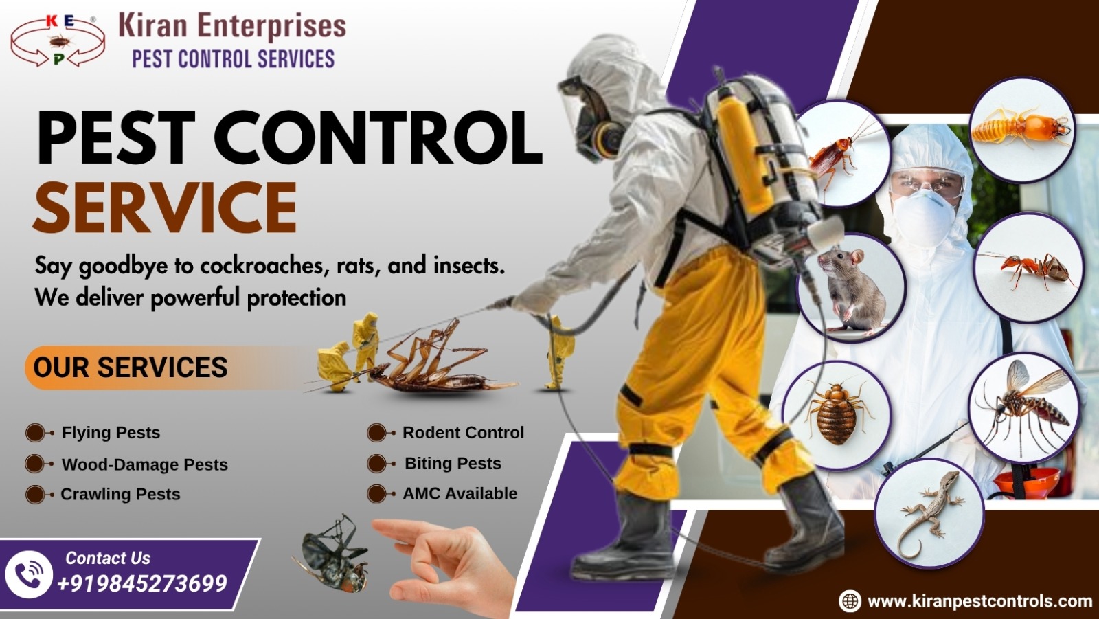 Pest Control Services in Bangalore  