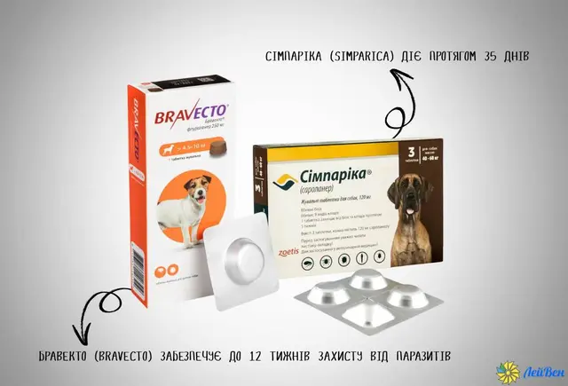 Bravecto vs Simparica a comparison of action, and safety