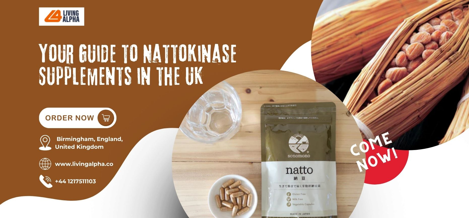 Fermented Natto Soybeans for Taste Nutrition and Balance