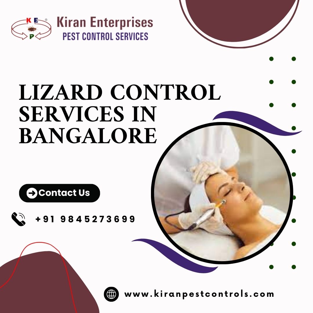 Lizard Control Services in Bangalore | Expert Pest Control