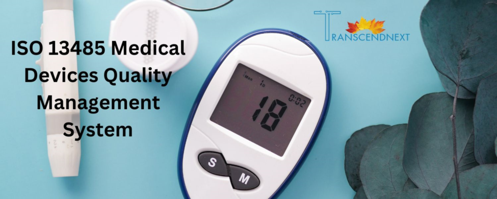 ISO 13485 medical devices quality management systems pdf