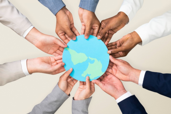 Maison Solution:  Non-Governmental Organizations in Dubai