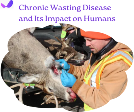 Chronic Wasting Disease and Its Impact on Humans