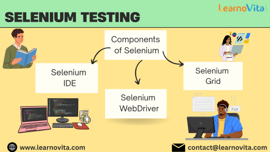 Selenium Training: A Complete Guide to Automated Web Testing