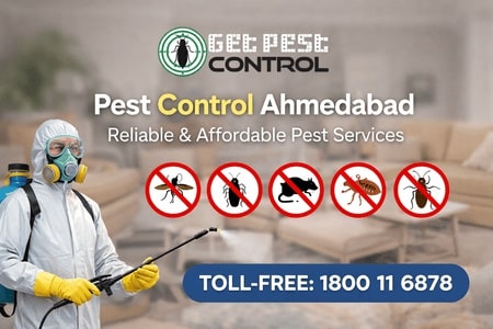 Pest Control Ahmedabad – Reliable & Affordable Pest Services
