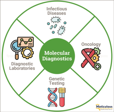 Europe Molecular Diagnostics Market Primed to Surpass $13.25 Billion by 2030: Exclusive Report by Me