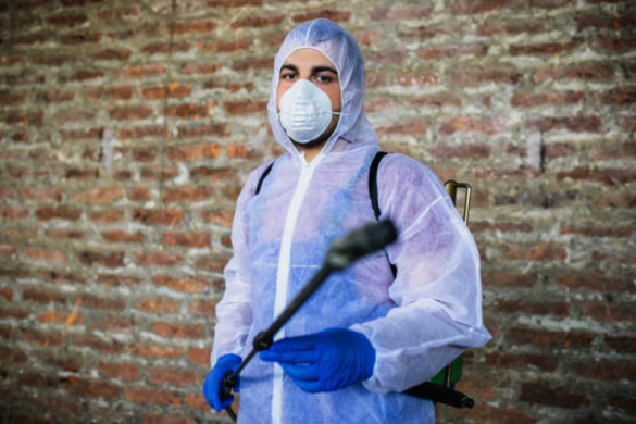 Eco-Friendly Pest Control: Safely Eliminating Pests without Harming the Environment