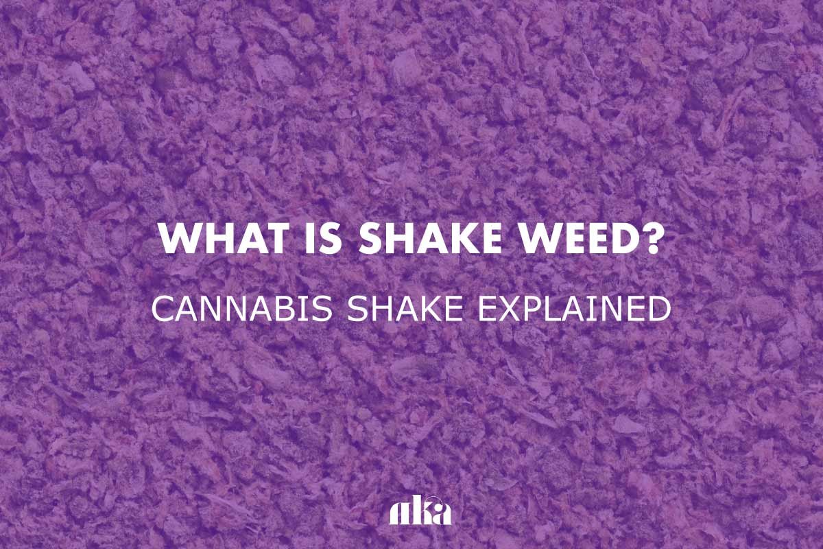 Discover the Hidden Value in Shake Weed
