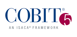 Why the COBIT Course Is Essential for Modern IT Governance 