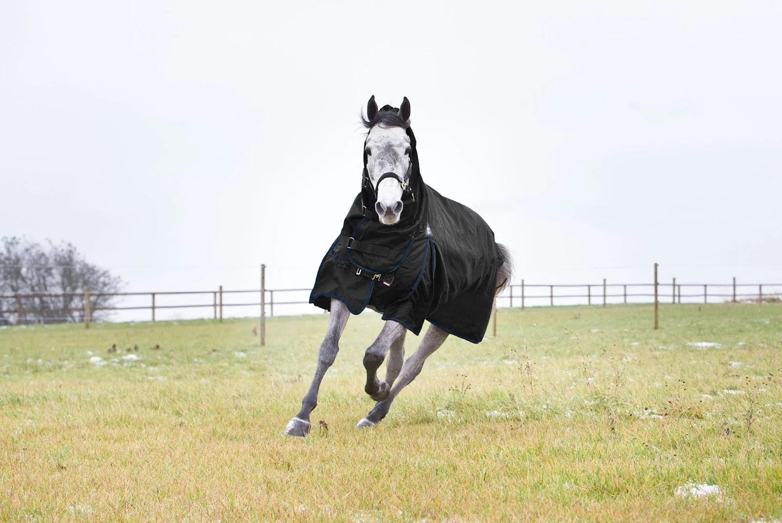 Blanketing Mistakes to Avoid During Freezing Temperatures