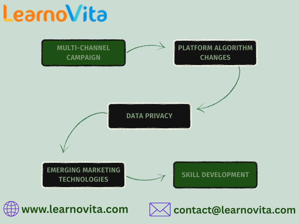 Digital Marketing Evolution