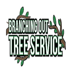 Tree Cutting & Trimming Hicksville