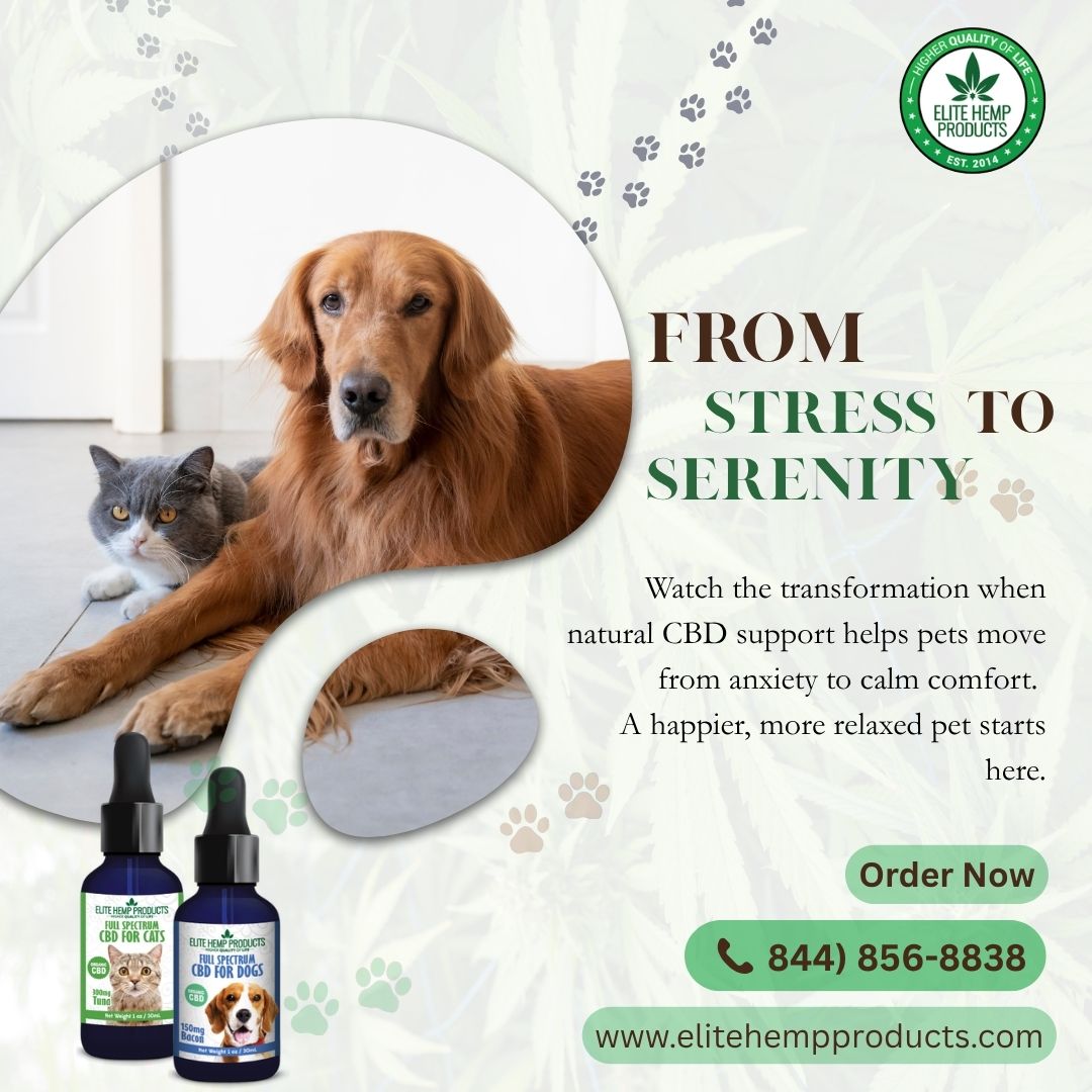 Does Pet CBD really work? Here's what the science says 2026