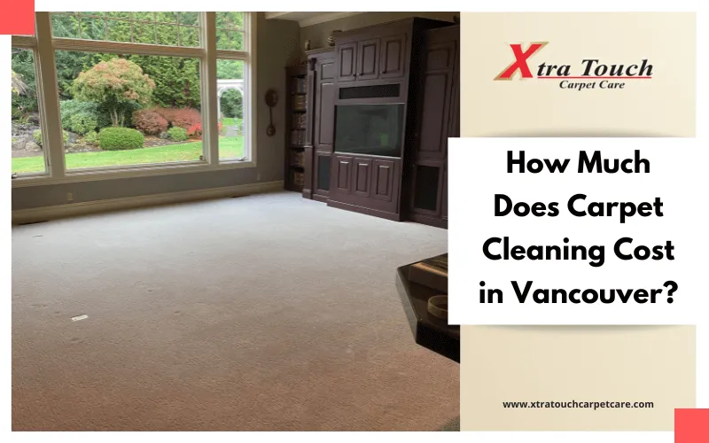How Much Does Professional Carpet Cleaning Cost?