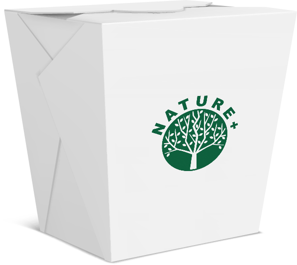 Eco Friendly Food Containers Guide to Sustainable Packaging