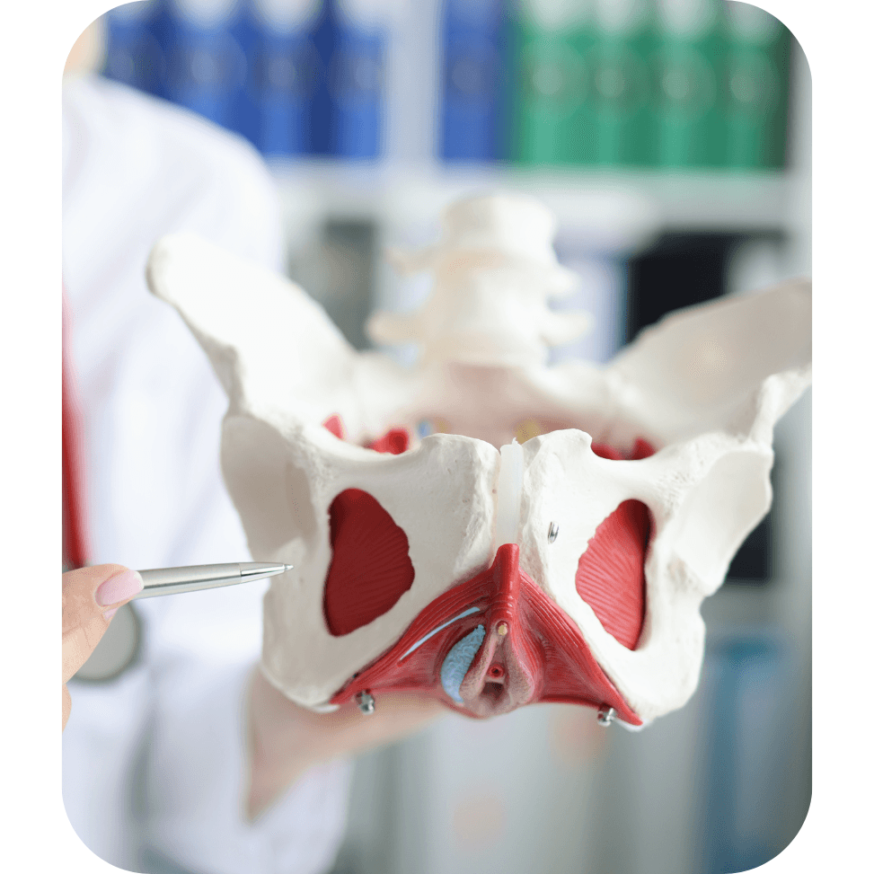 Sincere Medical Specialist Center