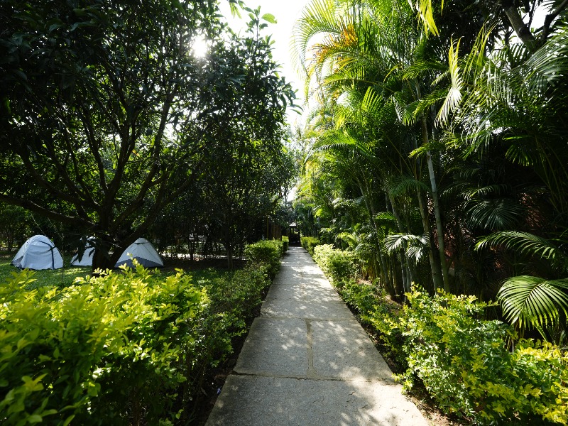 Resorts in Bangalore with Activities|Suggee Resort