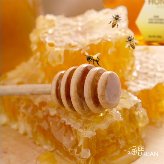 Ess Pee's - Your Trusted Export Partner for Honey, Cookies, and Tea