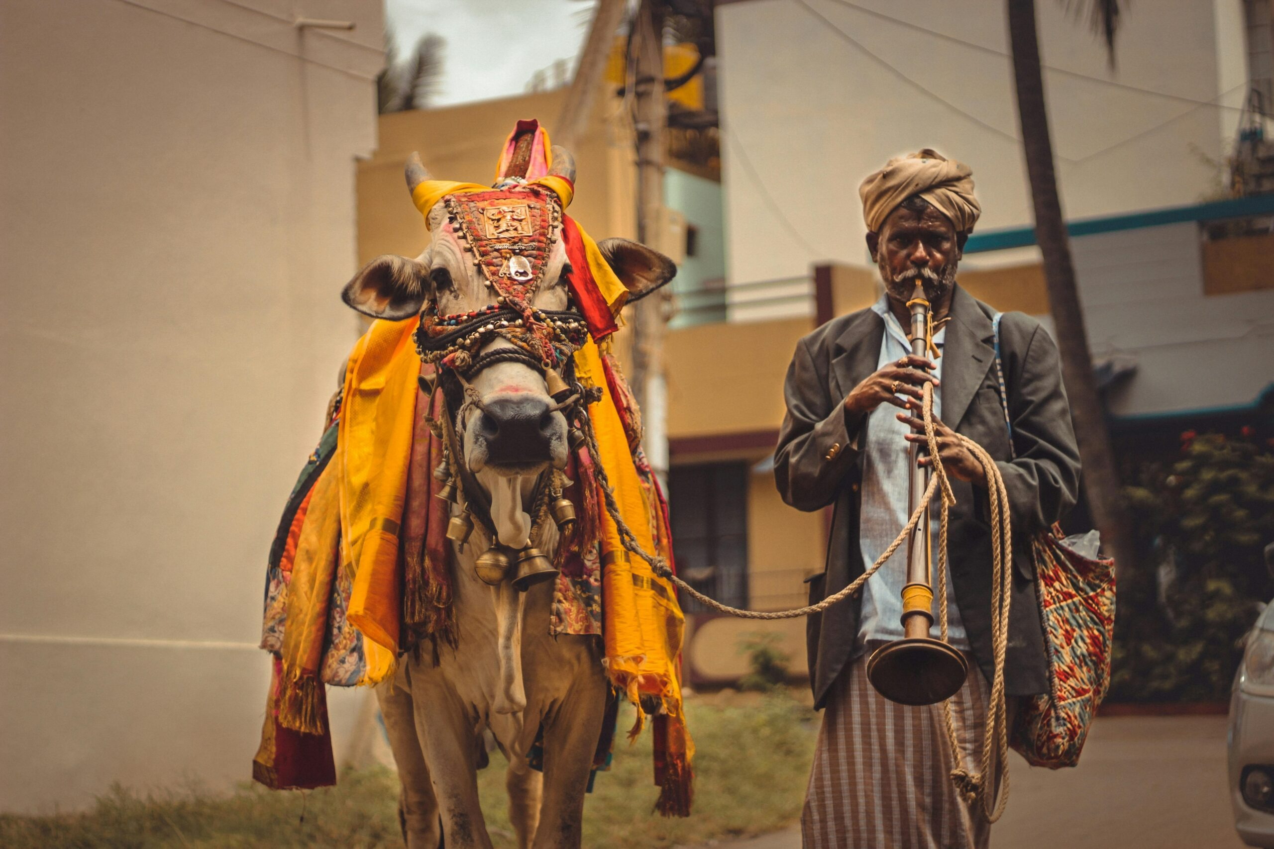 Baloni Bespoke Travel e. K.