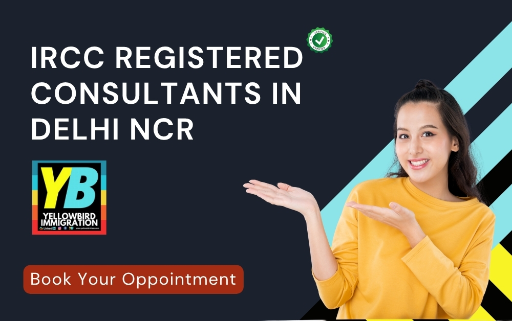 Best Immigration Consultants in Delhi NCR