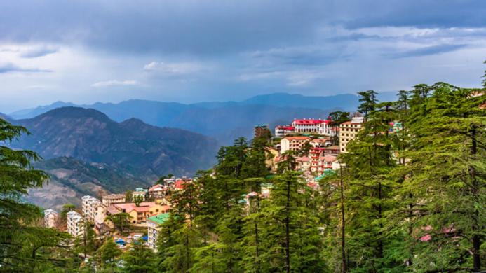 Chandigarh Airport to Shimla One-Way Taxi Service by New Chandigarh Travels