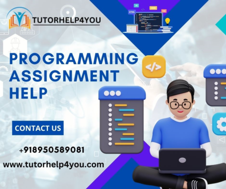 Programming Assignment Help