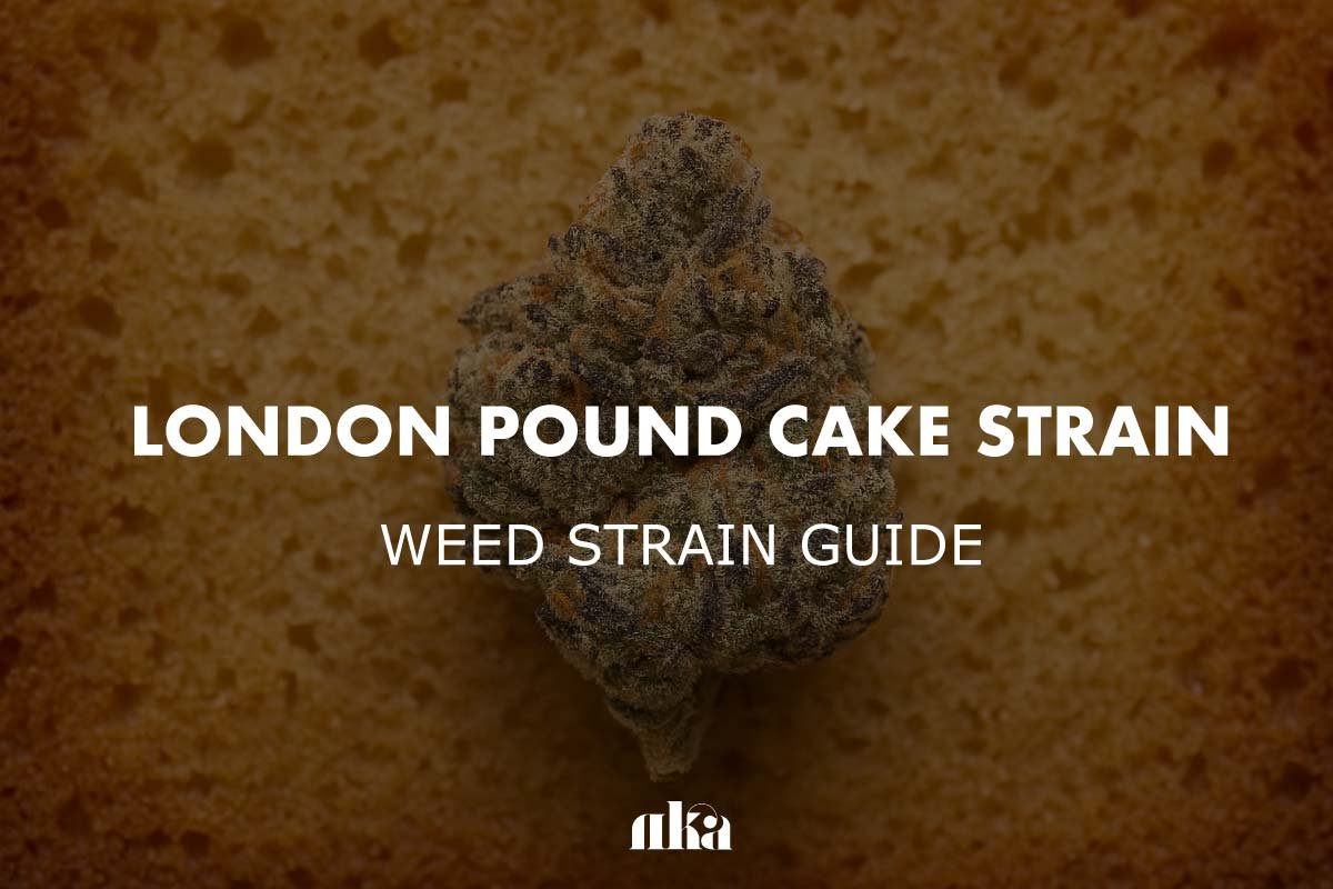 London Pound Cake Strain Review