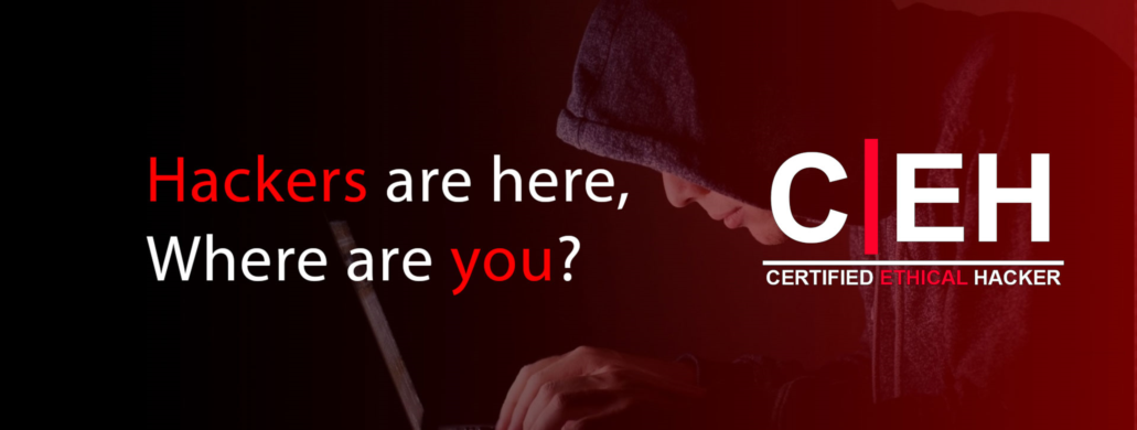 WebAsha Technologies: Premier Cyber Security Classes Near Me